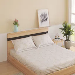 Home Centre Off White Floral 200 TC Bedsheet with 2 Pillow Covers-picture-27