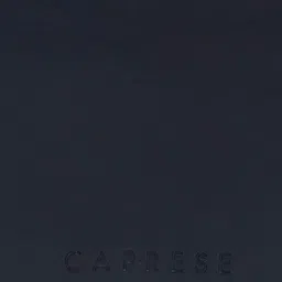 Caprese Structured Sling Bag image 5