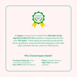 UGAOO Green Chilli Seeds image 2