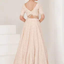 MAIVE Thread Work Ready to Wear Lehenga & Blouse Organza image 2