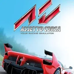 Assetto Corsa PC Steam Code (No CD/DVD)-picture-28