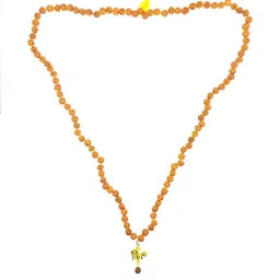 RAVIOUR LIFESTYLE Unisex Brown Necklace and Chains-picture-39