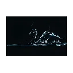 Inephos Black Black And Sea Green Swan Birds And Animals Canvas Wall Art-image-97