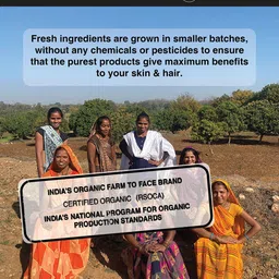 Soulflower 100% Pure Tea Tree Essential Oil For Dandruff Control 15ml image 5