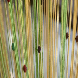 uniquella 213 cm (7 ft) Polyester Semi Transparent Door Curtain Single Curtain image 1