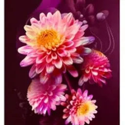 haier 190 L Direct Cool Single Door 5 Star Refrigerator with Base Drawer image 1