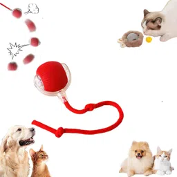 chullbull pet products Rolling Cat Toy,Rolling Dog Toy,Smart Pet Ball Toy Automatic 360° Rolling Chase Plastic, Rubber Ball, Soft Toy, Training Aid, Chew Toy For Dog & Cat-picture-17