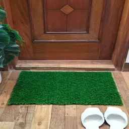 grassmat Artificial Grass, PP (Polypropylene) Door Mat-picture-16