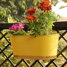12 Inches Oval Rectangular Set of 3 Yellow Metal Planter-image-93