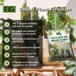elamgreen Indoor Plant Fertilizer | Natural Growth Booster for Healthy Houseplants Fertilizer image 4