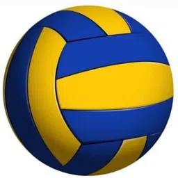 singhalss volleyball size-5 with needle official ( pack of 1 ) Volleyball - Size: 5-picture-21