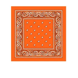 aadikart AadikartPack Of 2 Orange Coloured & White Paisley Printed Cotton Bandanas image 4