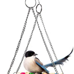 jainsons pet products Wooden, Plastic, Cotton Chew Toy, Fetch Toy, Perch, Stick For Bird image 4