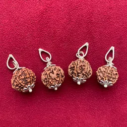 rudraksham 6 Mukhi Nepali Rudraksha Pendant With Certificate Of Authenticity (Set of 4) Silver Brass Locket Set image 2