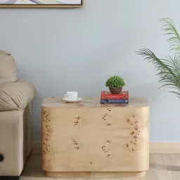 casacraft from pepperfry Jolanta Oak Burl Veneer Large End Table in Natural finish image 1