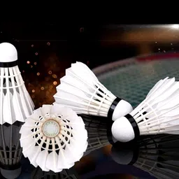 sai mart High-Performance Feather Shuttlecock Set – 10 Feather Shuttle - White image 3