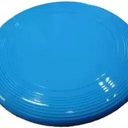 dulter Premium Frisbee disc for Outdoor Sports Plastic Sports Frisbee-picture-16