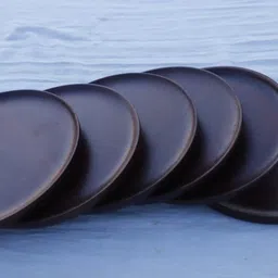 bagdawat bharat ROSE TRAY Chip & Dip Tray, Butter Dish, Coasters, Tray, Plate Serving Set image 5