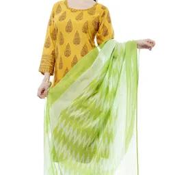 moeza Cotton Blend Woven Light Green Women Dupatta image 3