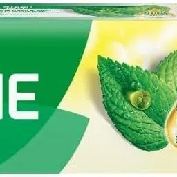 darlie Toothpaste Double Action 225g Toothpaste-picture-12