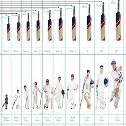 ceat TANNIS POPULER WILLOW BAT Poplar Willow Cricket Bat For 15+ Yrs image 4