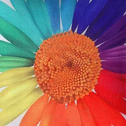 Kuber Industries White & Orange Set of 4 Floral Velvet Square Cushion Covers image 4