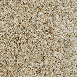 saral home Beige Shaggy Fiber 5 ft x 7 ft Machine Made Carpet image 4