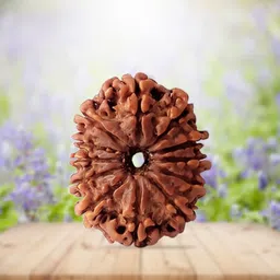 beautum Original 12 Mukhi Rudraksha twelve Face Rudraksha With Metal Capping Wood Pendant-picture-22