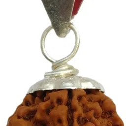 4 Mukhi Rudraksha Pendant Lab Certified Nepal Origin, 100% Original Four Face Ruthratcham Bead Size 17-20 mm German Silver Color Brown for Men & Women Wood Pendant-image-85