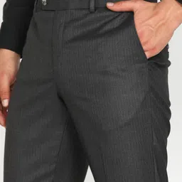 park avenue Men Regular Fit Grey Viscose Rayon Trousers image 5
