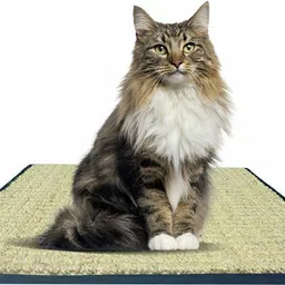 mats avenue Cat Scratching Pad image 2