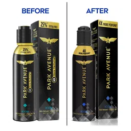 Park Avenue Body Spray- Icon 130 ml image 2