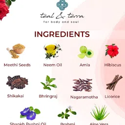 teal & terra Onion Oil & Rose Shampoo - 200 ml image 2