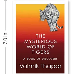 rupa publications The Mysterious World of Tigers: A Book of Discovery Book By Valmik Thapar - English image 5