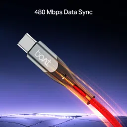 boAt Type A to C 65W Cable image 4