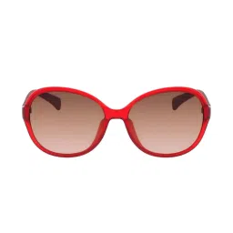 Calvin Klein Jeans CKJ778 Brown Bug Eye Sunglasses image 1