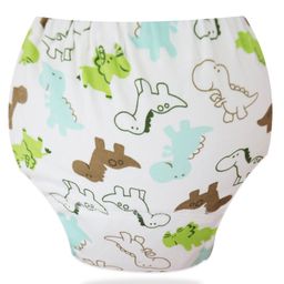 Bembika Babies Cotton Potty Training Pants Dinosaur World  Printed Large - White-picture-8
