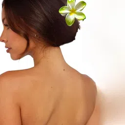 Elecsera Unisex Set of 6 Claw Clip image 5