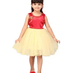 Aarika Kids Red Embellished Dress-image-20