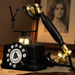 DEALSEVEN FASHION Unisex Black Curio Showpiece-image-25