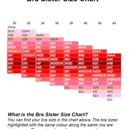 Enamor Black Under Wired Non Padded Bra image 4