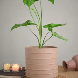 JAYPORE Lavender-Colored Round Flower Planters-picture-10