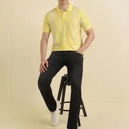 Allen Solly Men Striped Polo Collar Pockets T-shirt image 3