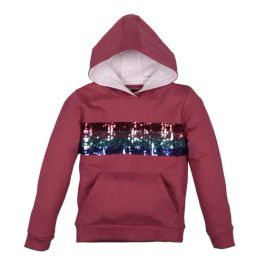 Plum Tree Kids Wine Embellished  Hoodies-picture-0