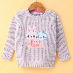 Wingsfield Full Sleeves Animal Embroidered Sweater - Pink-image-99