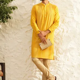 JAYPORE Striped Mandarin Collar Pure Cotton Straight Kurta-picture-46