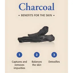 Elecsera Activated Charcoal Foaming Face Wash For Skin Brightening - 100 ml image 4