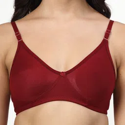 LILY Bra Pack of 3 Full Coverage Seamless Non Padded T -Shirt Bra image 5