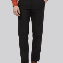Raymond Brown Slim Fit Striped Trousers image 1