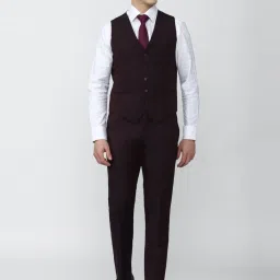 Peter England Elite Brown Slim Fit Texture Three Piece Suits image 3